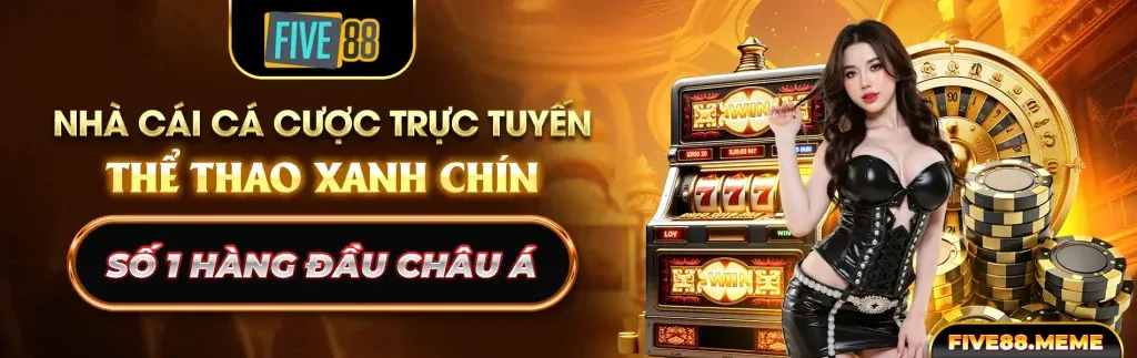 Hình ảnh chính của vin777 nhà cái, nền tảng cá cược trực tuyến tốt nhất 2024