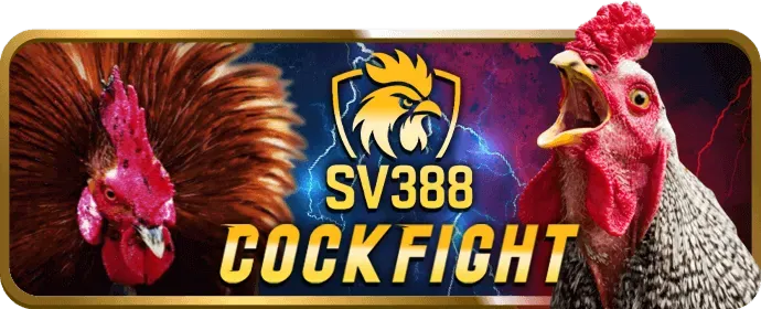 Thưởng chào mừng thành viên mới vin777 nhà cái